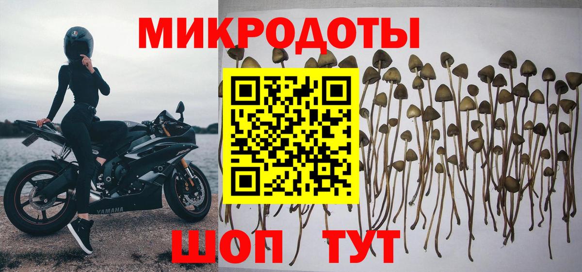 Псилоцибиновые грибы MAGIC MUSHROOMS  Вход с VPN  Ухта  Галлюциногенные грибы Cubensis 